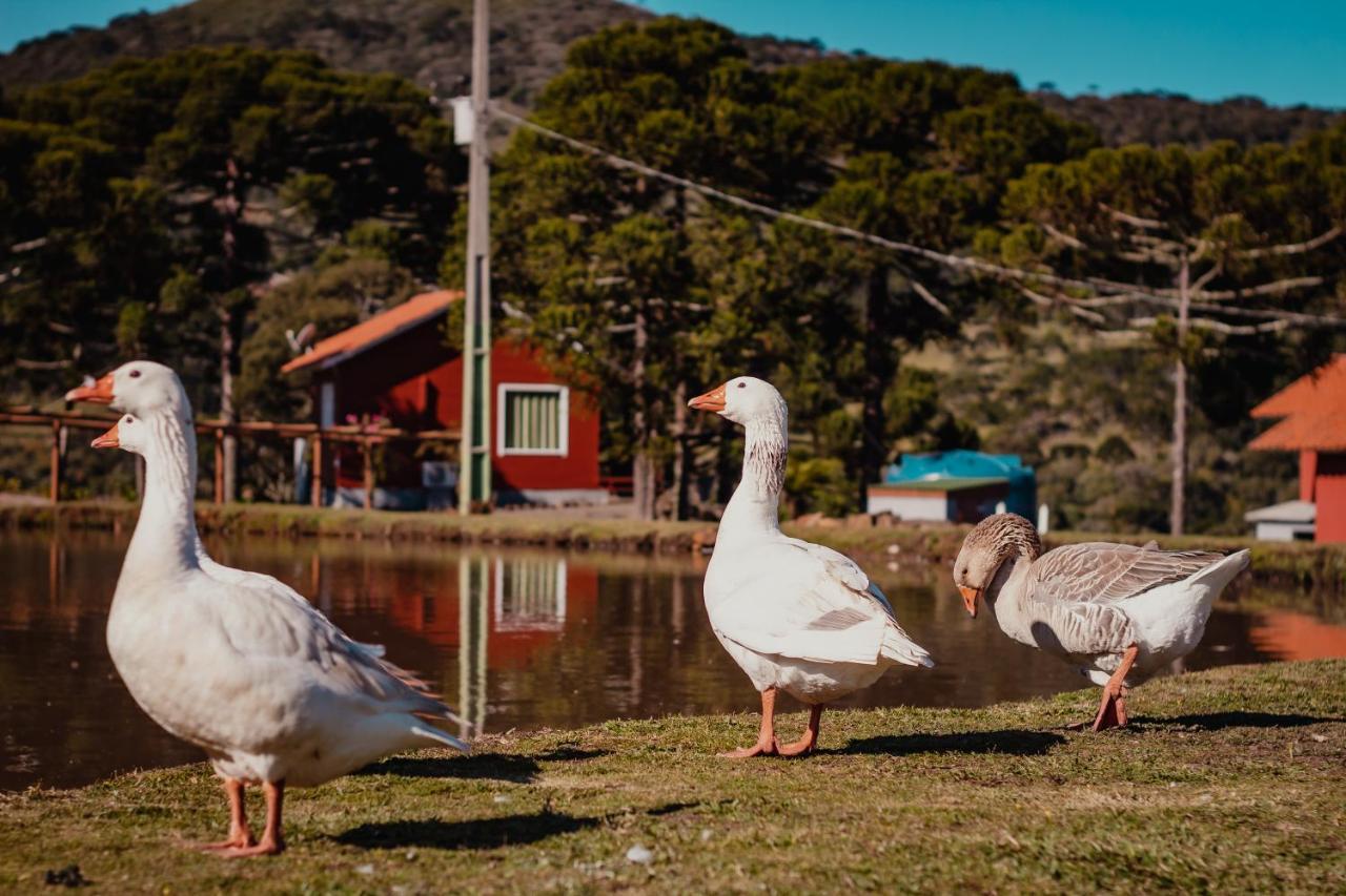 Pousada Lago Da Colina Urubici Exterior foto